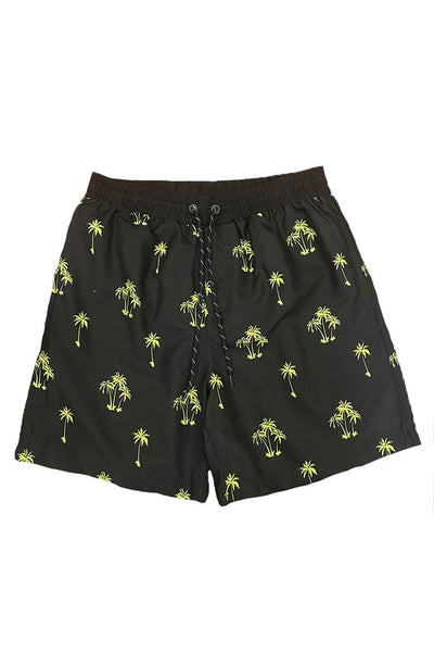 Explore More Collection - Palm Tree Print Swim Shorts