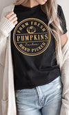 Explore More Collection - Farm Fresh Pumpkins Circle Graphic Tee