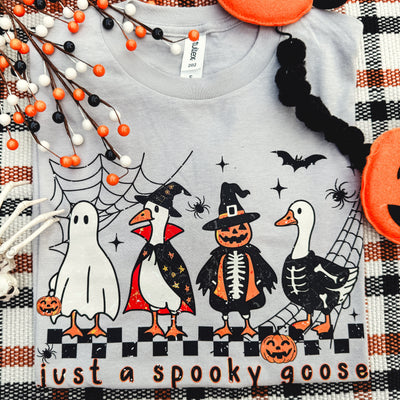 Explore More Collection - Just A Spooky Goose Soft Graphic Tee