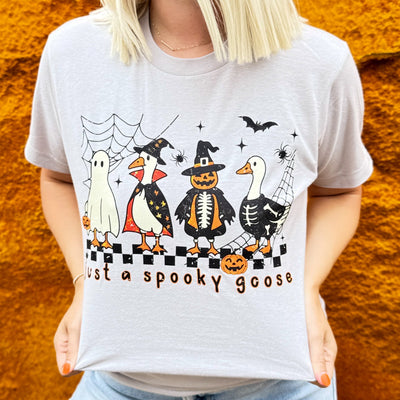 Explore More Collection - Just A Spooky Goose Soft Graphic Tee