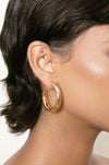 Explore More Collection - Medium Thick Classic Hoops