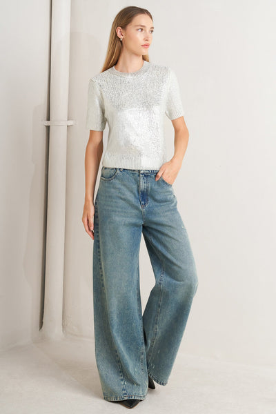 Explore More Collection - SILVER GLOW KNIT TOP
