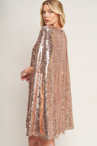 Explore More Collection - SPECIAL TREATMENT SEQUIN MINI DRESS