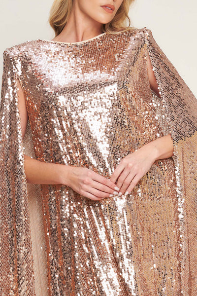 Explore More Collection - SPECIAL TREATMENT SEQUIN MINI DRESS