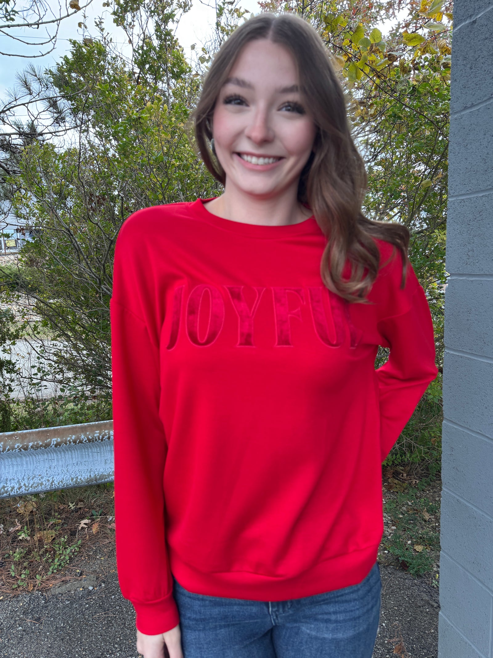 Joyful - A Velvet Patch Luxe Pullover