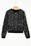 Explore More Collection - Sequin Round Neck Long Sleeve Top