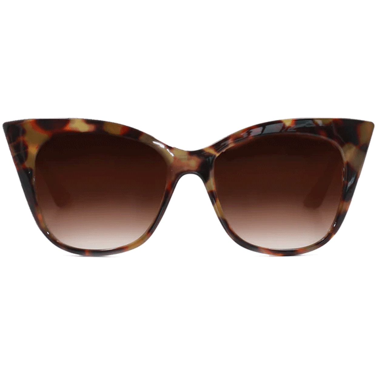 Explore More Collection - Sustainable Venice - Tortoise Shell