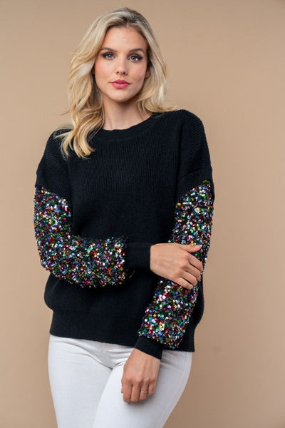 Dillion - Sequin Sleeve Knit Top