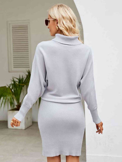 Explore More Collection - Turtle Neck Long Sleeve Ribbed Sweater Dress