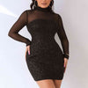 Explore More Collection - Sequin Mock Neck Mesh Dress