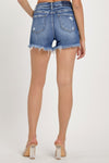 Explore More Collection - RISEN High Waist Ripped Denim Shorts