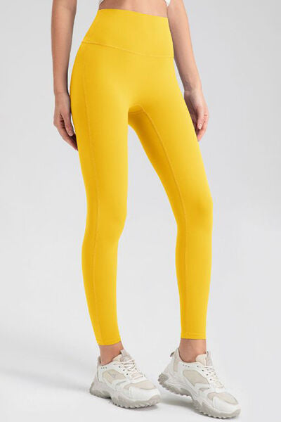 Explore More Collection - High Waist Skinny Active Pants