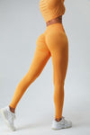 Explore More Collection - High Waist Active Pants