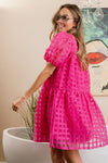 Explore More Collection - BiBi Gridded Organza Short Sleeve Dress